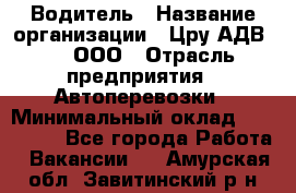 Водитель › Название организации ­ Цру АДВ777, ООО › Отрасль предприятия ­ Автоперевозки › Минимальный оклад ­ 110 000 - Все города Работа » Вакансии   . Амурская обл.,Завитинский р-н